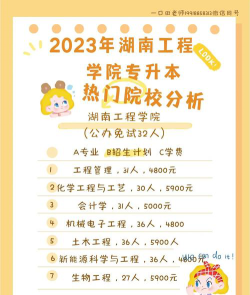 湖南工程学院2023年在陕西各专业招生人数