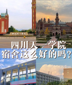 民办四川天一学院是211大学吗