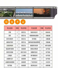 蚌埠经济技术职业学院2023年在陕西各专业招生人数