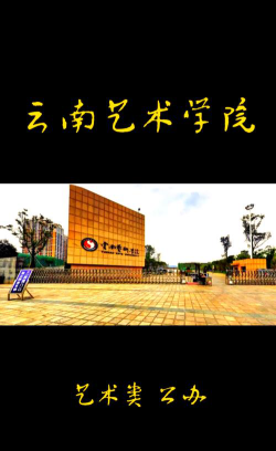 云南艺术学院是985大学吗