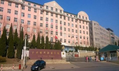 大连软件职业学院官网地址是什么