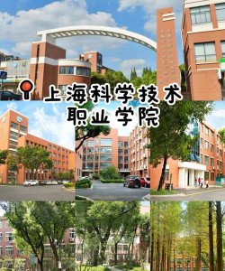 上海科学技术职业学院官网地址是什么