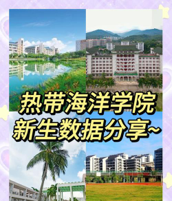 海南热带海洋学院2023年在宁夏各专业招生人数