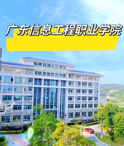 广东信息工程职业学院是211大学吗