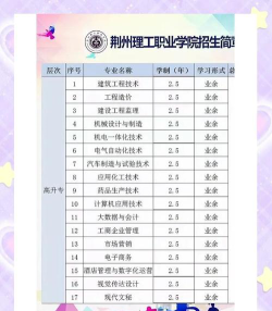 荆州理工职业学院2023年在宁夏各专业招生人数