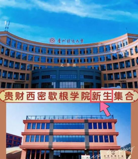 贵州财经大学西密歇根学院官网地址是什么