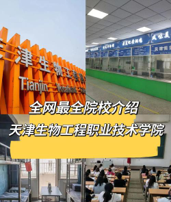 天津生物工程职业技术学院是211大学吗