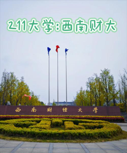 西南财经大学官网地址是什么