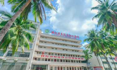 海南卫生健康职业学院是985大学吗