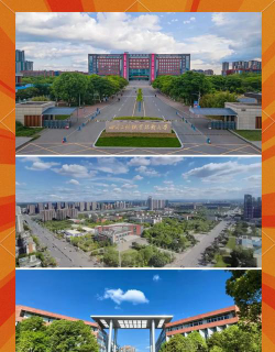 成都工业职业技术学院是211大学吗