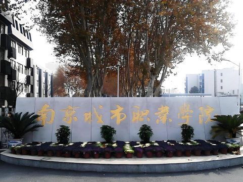 南京城市职业学院是专科吗