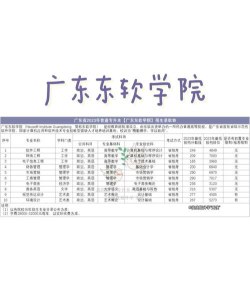 成都东软学院2023年在广西各专业招生人数
