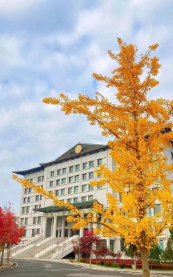 临夏现代职业学院是985大学吗