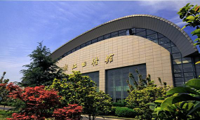 浙江体育职业技术学院是985大学吗