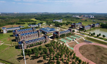 湖北健康职业学院是985大学吗