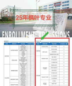 大连枫叶职业技术学院2023年在湖南各专业招生人数