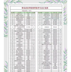 青岛求实职业技术学院2023年在湖南各专业招生人数