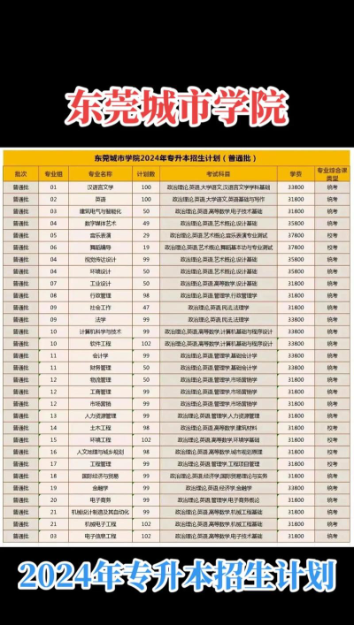 东莞城市学院2023年在湖南各专业招生人数