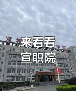 宣城职业技术学院是专科吗