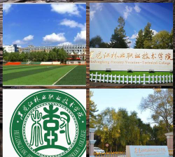 黑龙江林业职业技术学院是专科吗