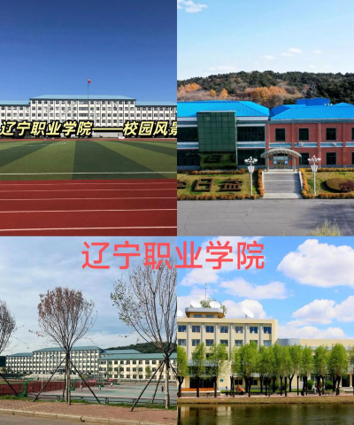 辽宁职业学院官网地址是什么