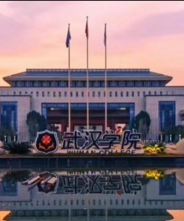 武汉学院官网地址是什么
