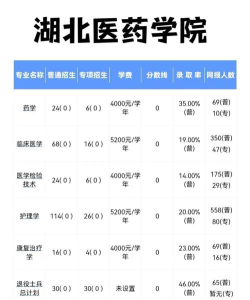 湖北医药学院2023年在黑龙江各专业招生人数