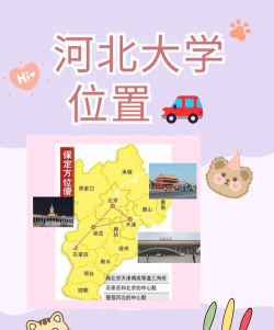 河北大学在哪里