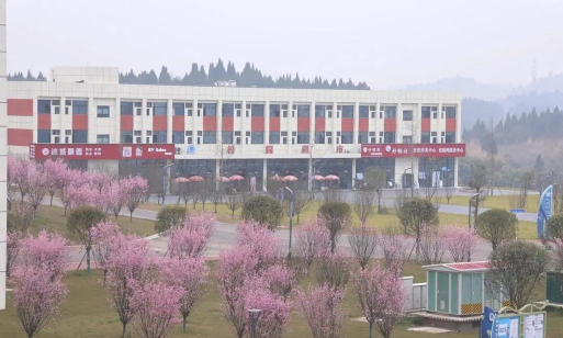 遂宁职业学院是一本还是二本