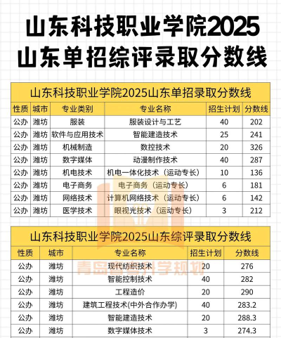 山东考生多少分能上南充科技职业学院