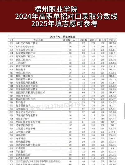 福建考生多少分能上梧州职业学院