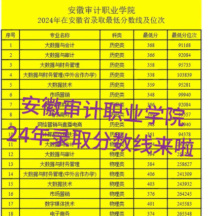 重庆考生多少分能上安徽审计职业学院
