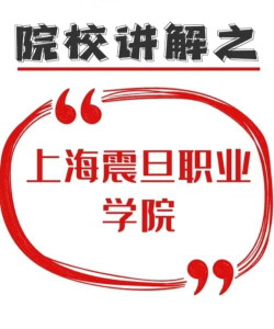 上海震旦职业学院是民办大学还是公办大学