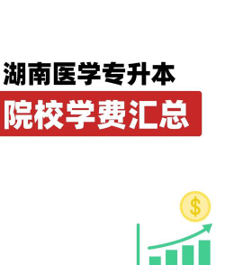 湖南医药学院是民办大学还是公办大学