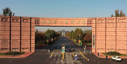 山东第一医科大学是双一流大学吗
