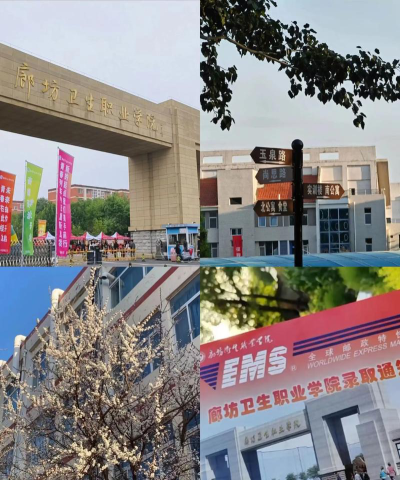 廊坊卫生职业学院是本科吗