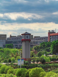 重庆电信职业学院是民办大学还是公办大学