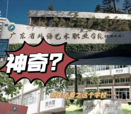 广东省外语艺术职业学院是民办大学还是公办大学