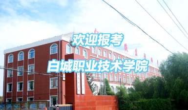白城职业技术学院是双一流大学吗