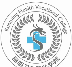 昆明卫生职业学院是双一流大学吗