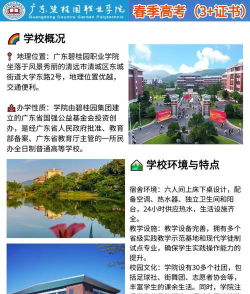 广东碧桂园职业学院是985吗