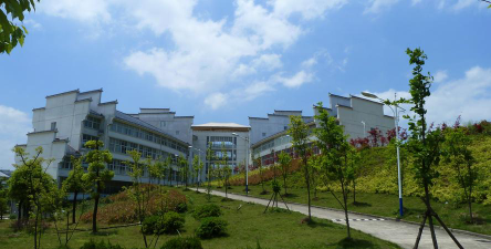 池州学院是985吗