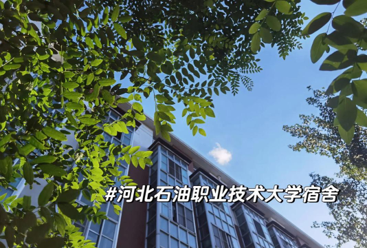 河北石油职业技术大学是985还是211