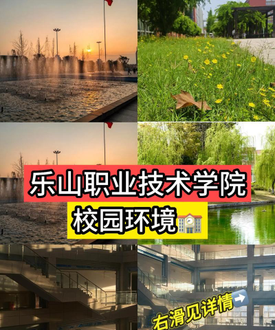 乐山职业技术学院是公办还是民办