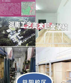 湖南工艺美术职业学院是几本