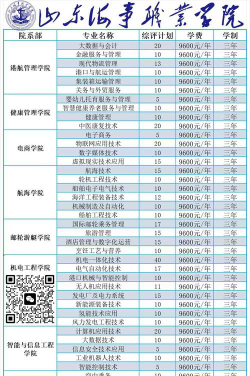 山东海事职业学院是几本
