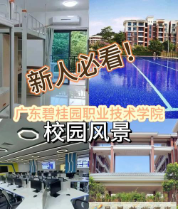 广东碧桂园职业学院是几本