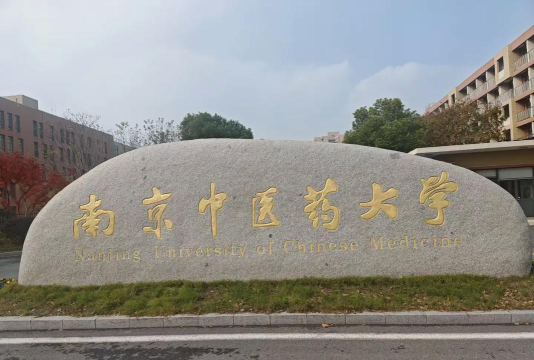 南京中医药大学翰林学院是一本还是二本
