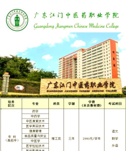广东江门中医药职业学院是一本还是二本