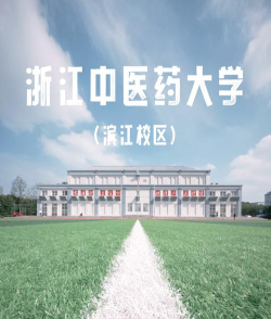 浙江中医药大学滨江学院院校代码